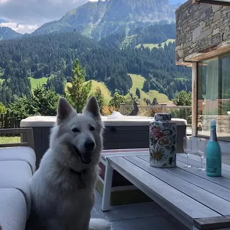 Super Luxury Serviced Next To Gstaad * Rougemont